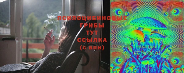 apvp Белокуриха
